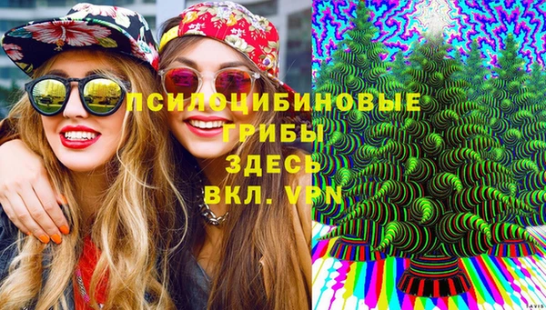 Альфа ПВП Белокуриха