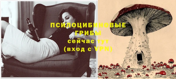 Альфа ПВП Белокуриха