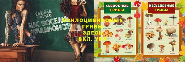 Альфа ПВП Белокуриха