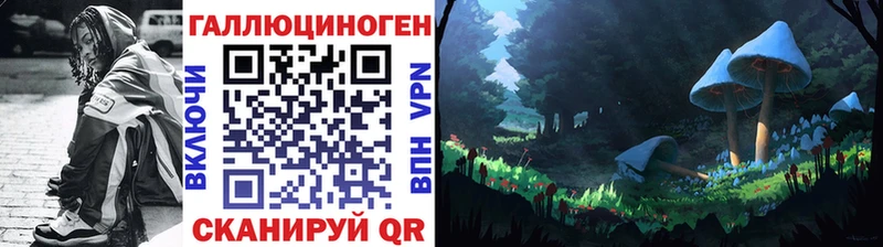 где купить наркотик  Дигора  Галлюциногенные грибы мухоморы 